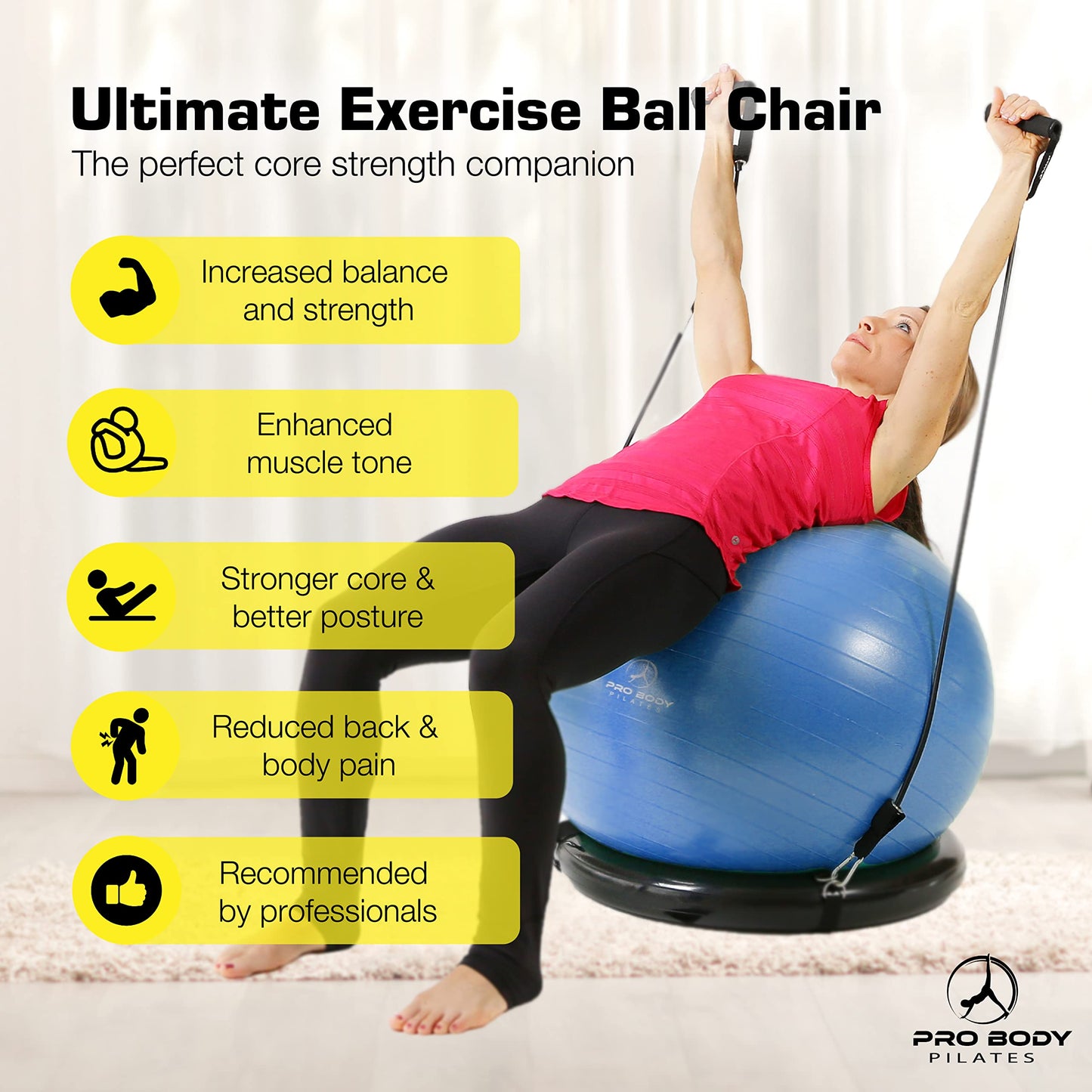 ProBody Pilates Ball Yoga Ball Chair, Exercise Ball Chair with Base or Stand for Home Office Desk Sitting or Workout, 65cm Antiburst Balance & Stability Ball Seat, Large Gym Ball for Back, Abs