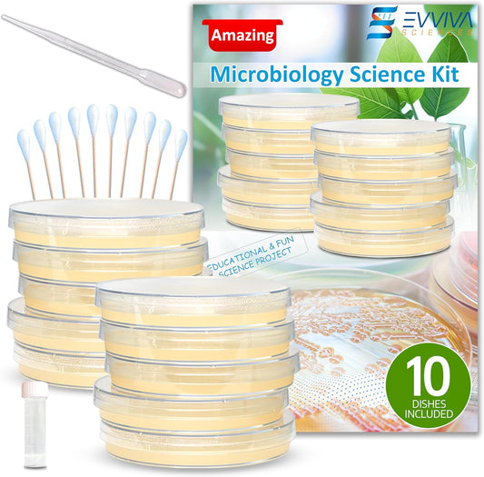 Evviva Sciences Microbiology Science Project Kit, Pre-Poured Agar Plates for Students, Agar Petri Dishes to Learn Microbiology, with Educational Experiment eBook