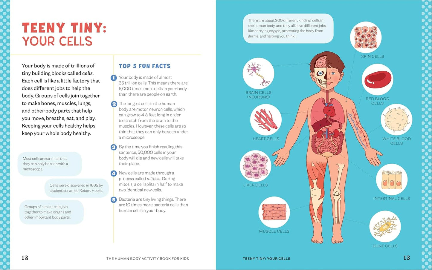 Human Body Activity Book for Kids: Hands-On Fun for Grades K-3