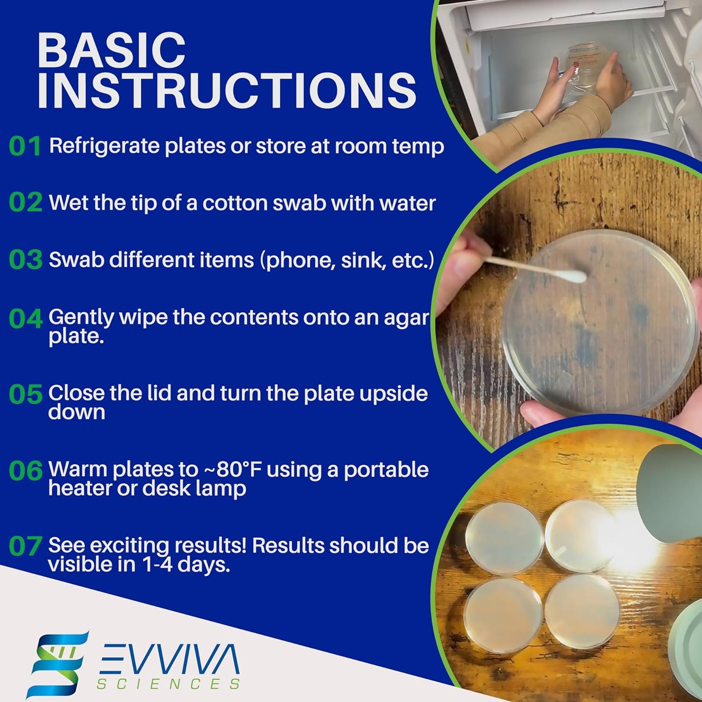 Evviva Sciences Microbiology Science Project Kit, Pre-Poured Agar Plates for Students, Agar Petri Dishes to Learn Microbiology, with Educational Experiment eBook