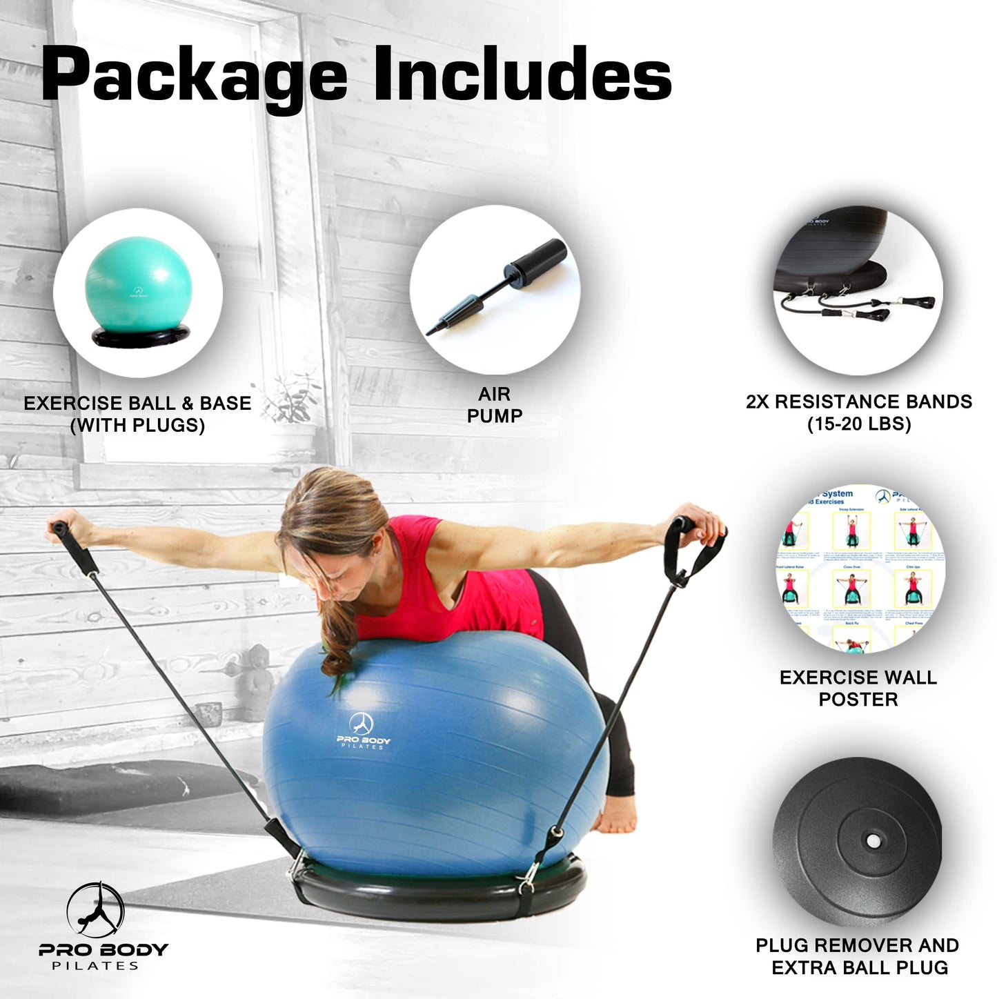 ProBody Pilates Ball Yoga Ball Chair, Exercise Ball Chair with Base or Stand for Home Office Desk Sitting or Workout, 65cm Antiburst Balance & Stability Ball Seat, Large Gym Ball for Back, Abs